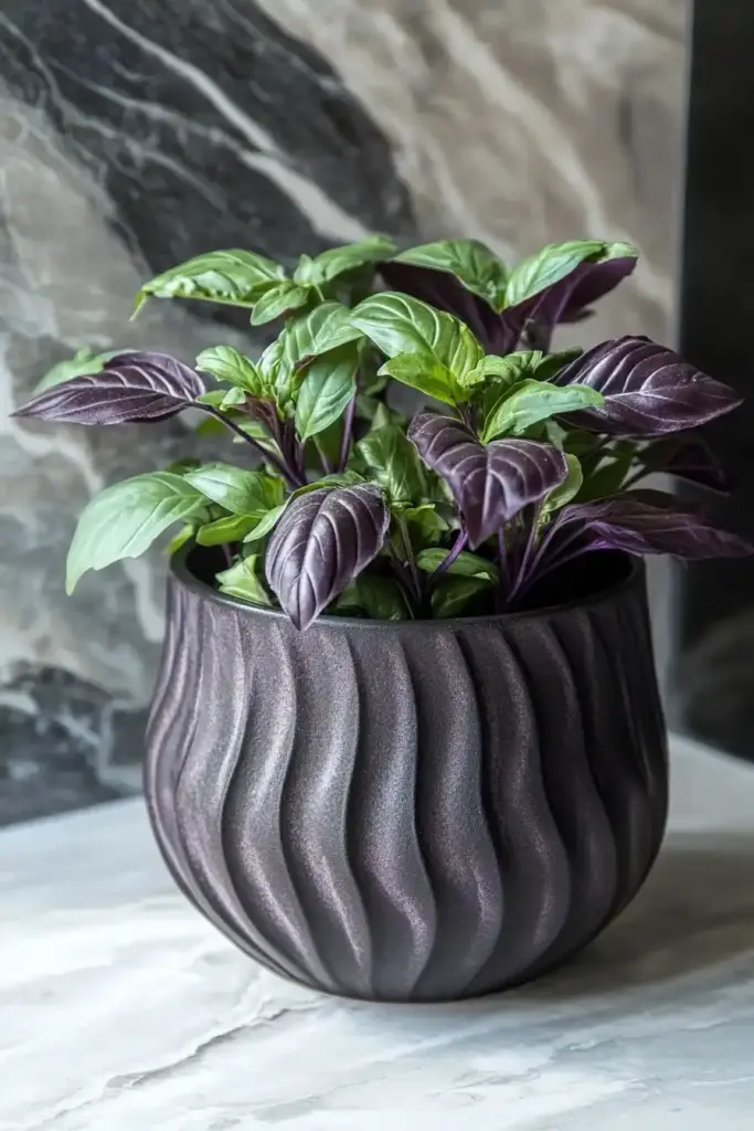 Mosquito Repellent Plants: How to Create a Stunning, Bug-Free Container Garden Thai Basil