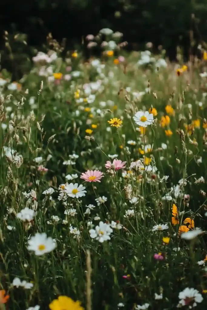 🌸 15 Charming Cottage Garden Ideas to Inspire Your Outdoor Oasis Let Nature Take the Lead