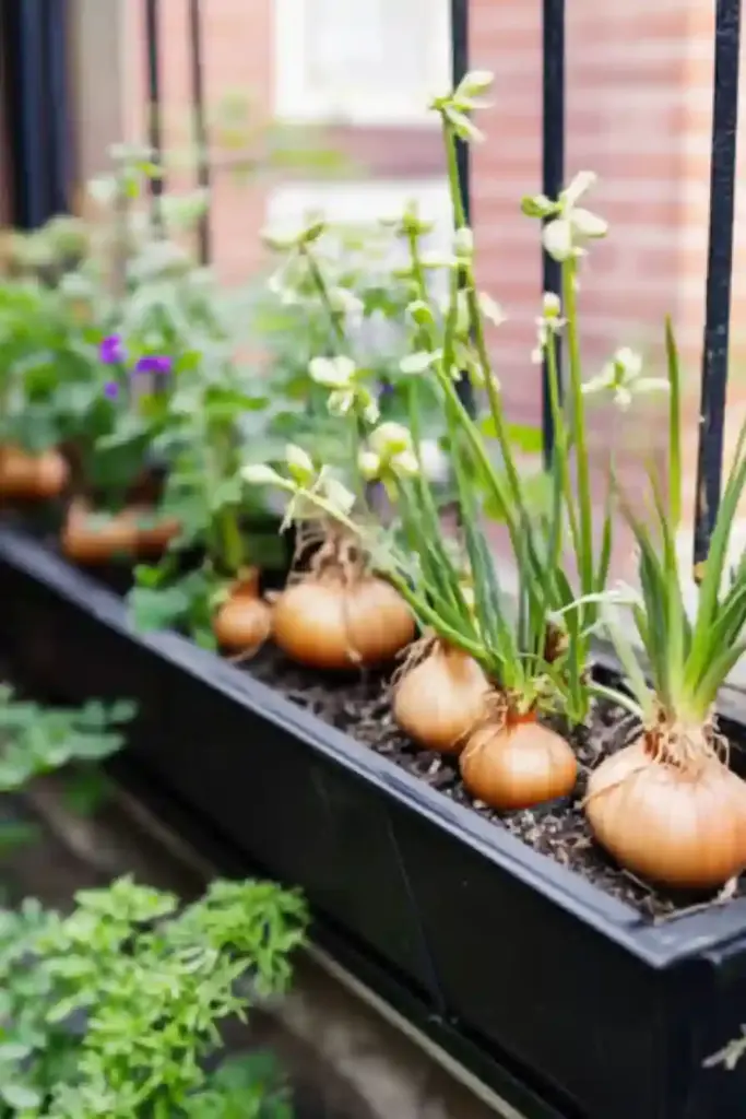 20 Best Vegetable Garden Layout Ideas to Transform Your Yard 🪟 19. Add Window Boxes for Beauty and Convenience