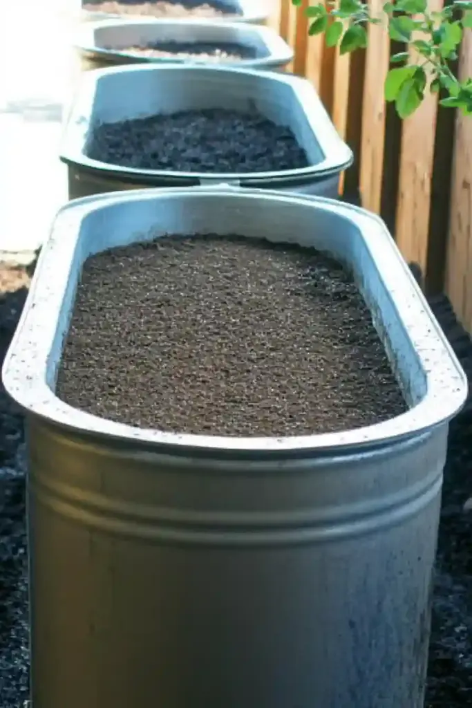 20 Best Vegetable Garden Layout Ideas to Transform Your Yard 🐄 18. Use Stock Tanks for Raised Garden Beds