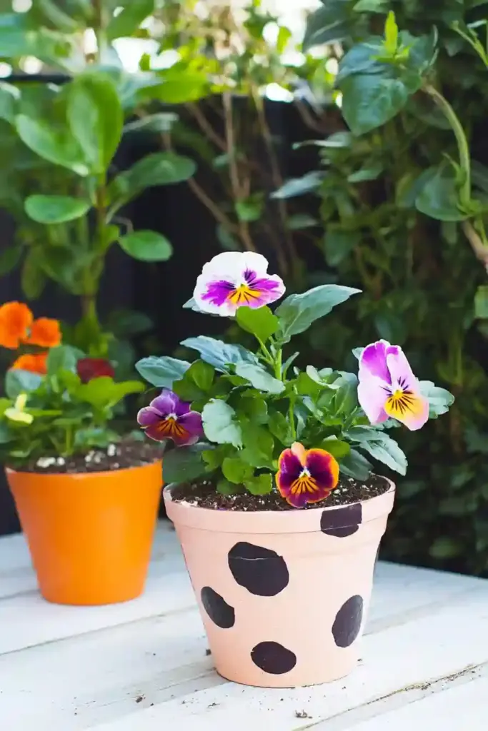 25 Cheap Landscaping Fixes That Look Expensive 5. 🪴 Upgrade Your Planters with Style and Personality