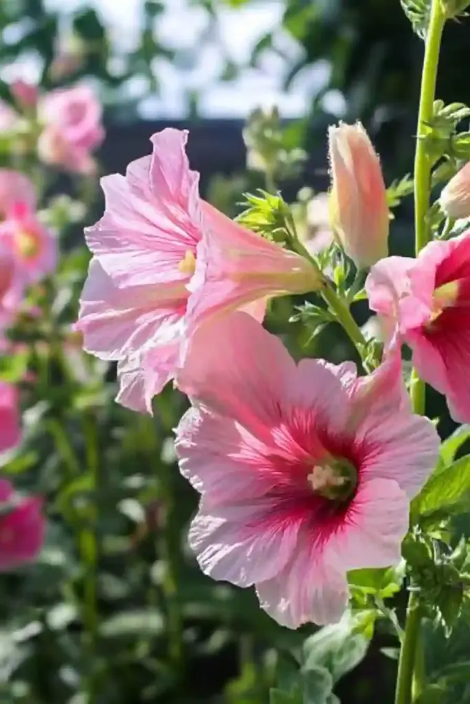 25 Cheap Landscaping Fixes That Look Expensive 4. 🌼 Grow Low-Maintenance Flowers for Effortless Beauty