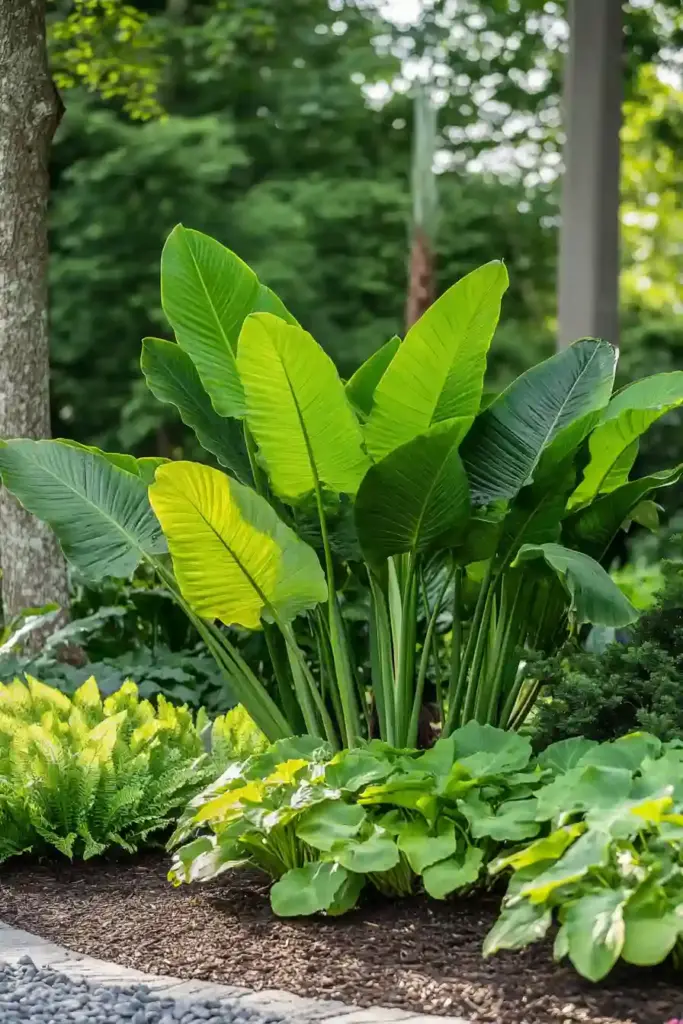 28 Best Backyard Landscaping Ideas 24. Make a Statement with Dramatic Foliage