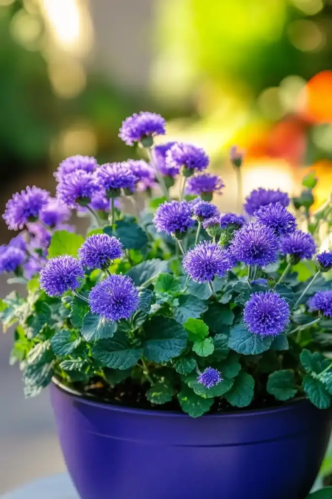 Plants That Repel Mosquitoes: A Natural Way to Enjoy Your Garden Bite-Free Ageratum