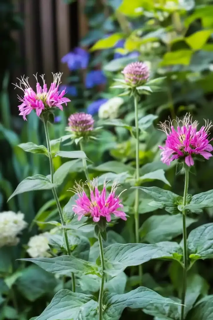 15 Best Mosquito Repellent Plants 2025 Bee Balm