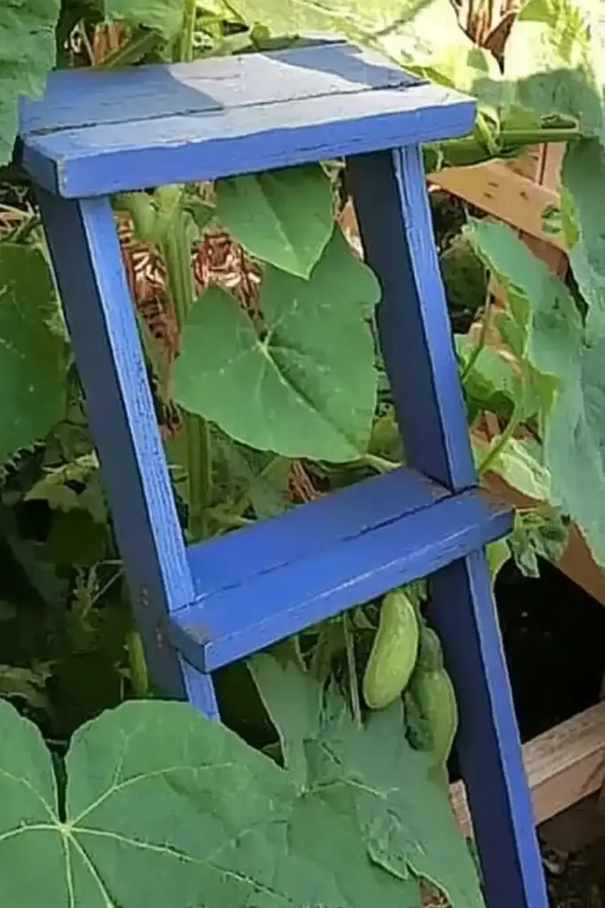 3. Easiest Wood Ladder Cucumber Trellis