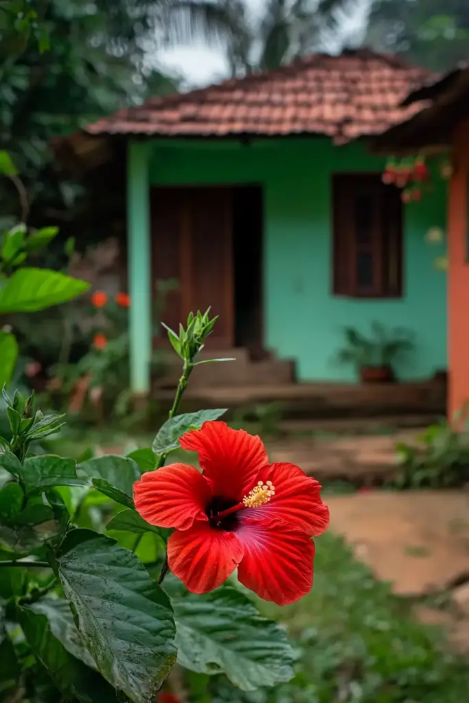 How to Grow and Care for Hibiscus: A Complete Guide for Vibrant Blooms 🌞 Hibiscus Care: Creating the Perfect Environment