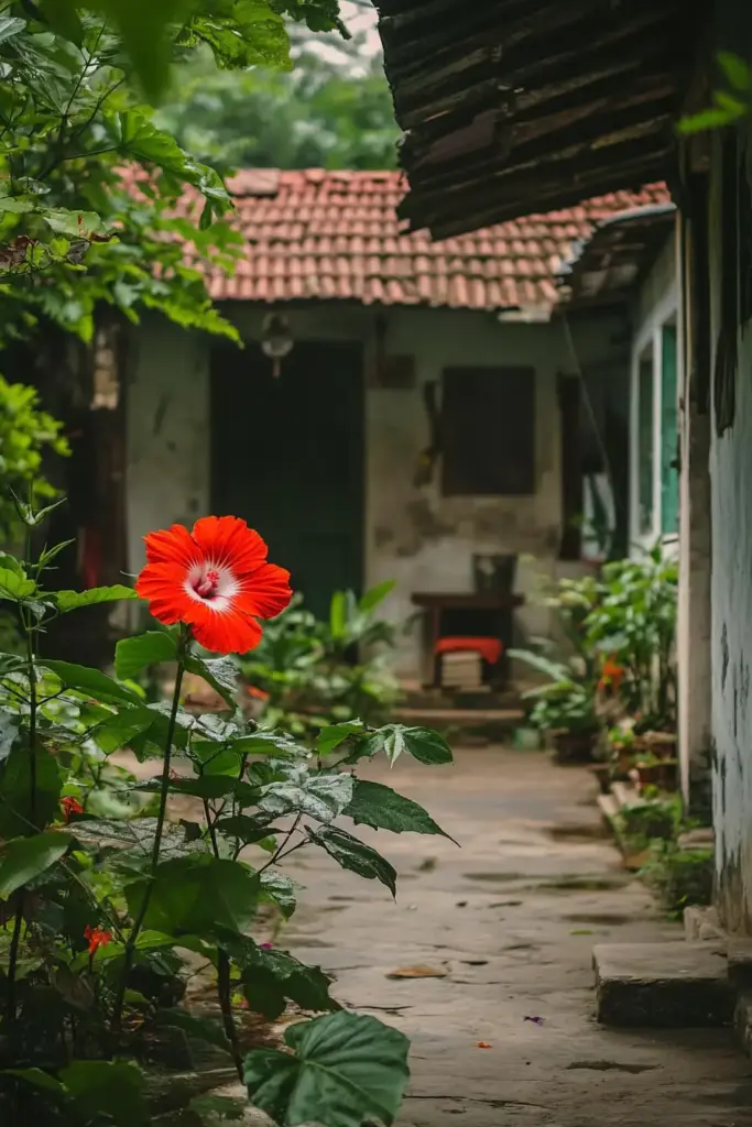 How to Grow and Care for Hibiscus: A Complete Guide for Vibrant Blooms 🌺 Types of Hibiscus: Choosing the Right Variety for Your Garden