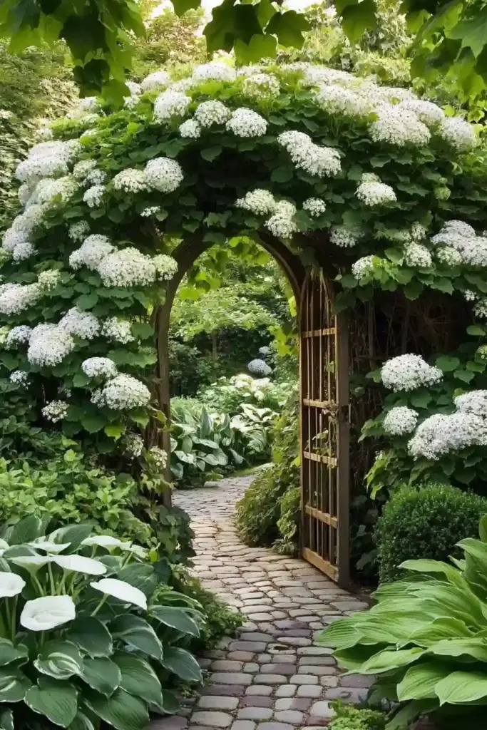17 Hydrangea And Hostas Landscaping Combinations Garden Whimsy: Climbing Hydrangeas & Fragrant Hostas