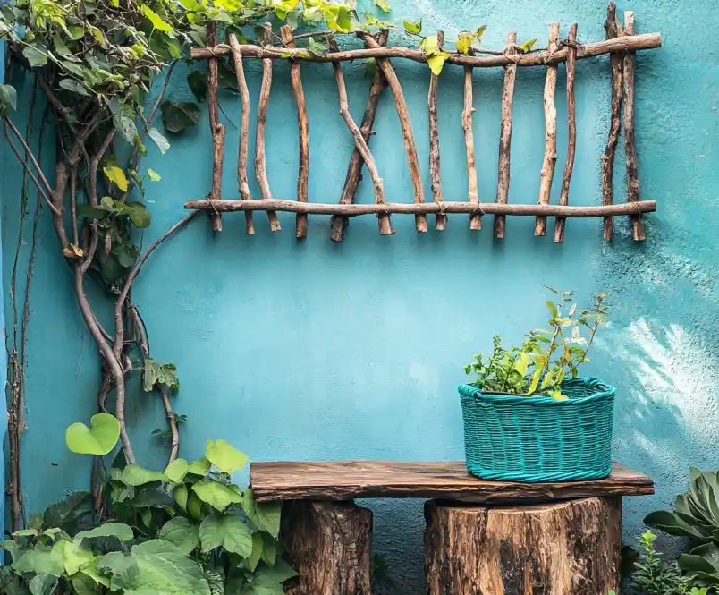 Cucumber Trellis Ideas