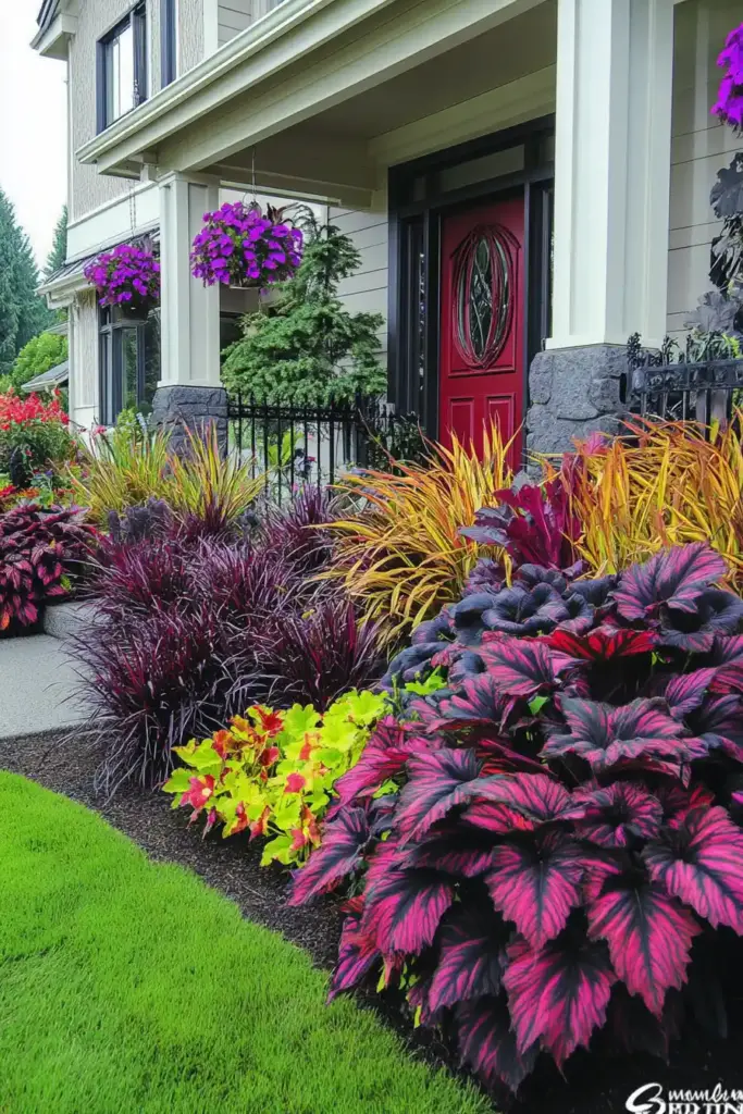 Front Yard Landscaping Ideas Front Yard Plants