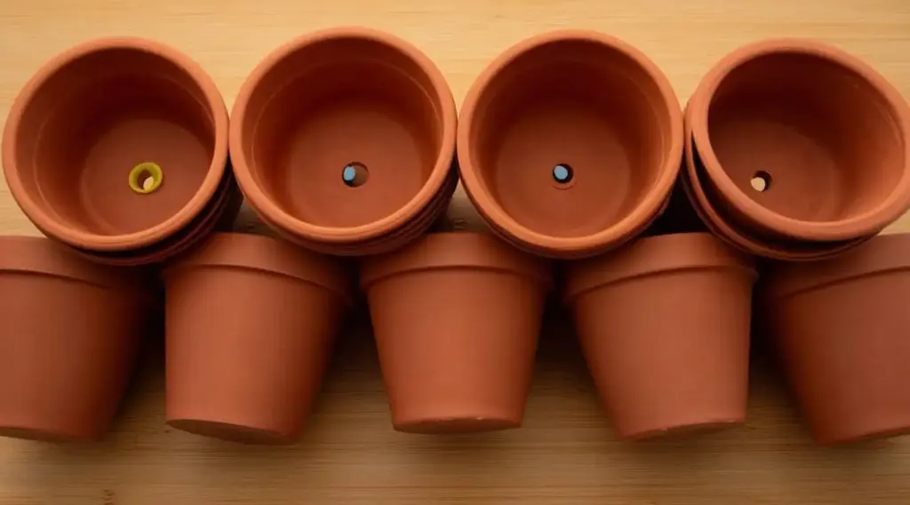 15 Expert Tips for Growing Stunning Begonias in Pots or Containers 1. Choose Small, Decorative, Well-Draining Pots