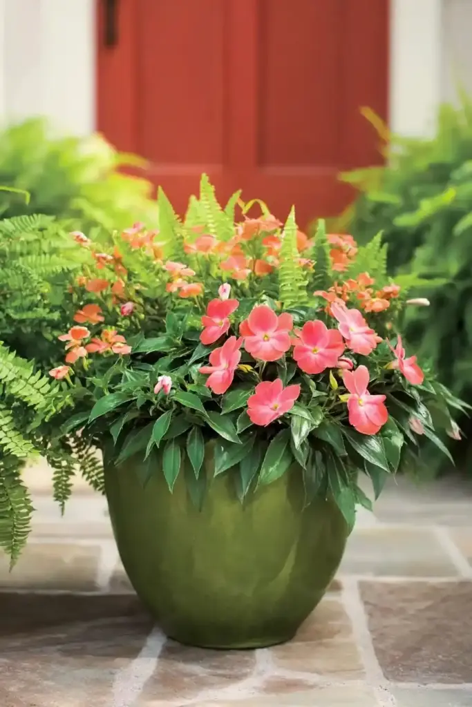 12 Stunning Sunny Porch Plants for Container Gardens SunPatiens