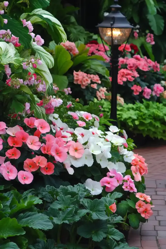 17+ Begonia Flower Bed Ideas 13. Contrasting Textures: Elevate Your Garden’s Visual Appeal