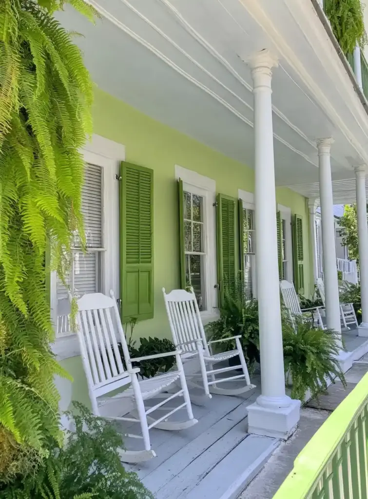 12 Elegant Front Porch Fern Ideas for a Fresh Look 3. White Chairs with Ferns