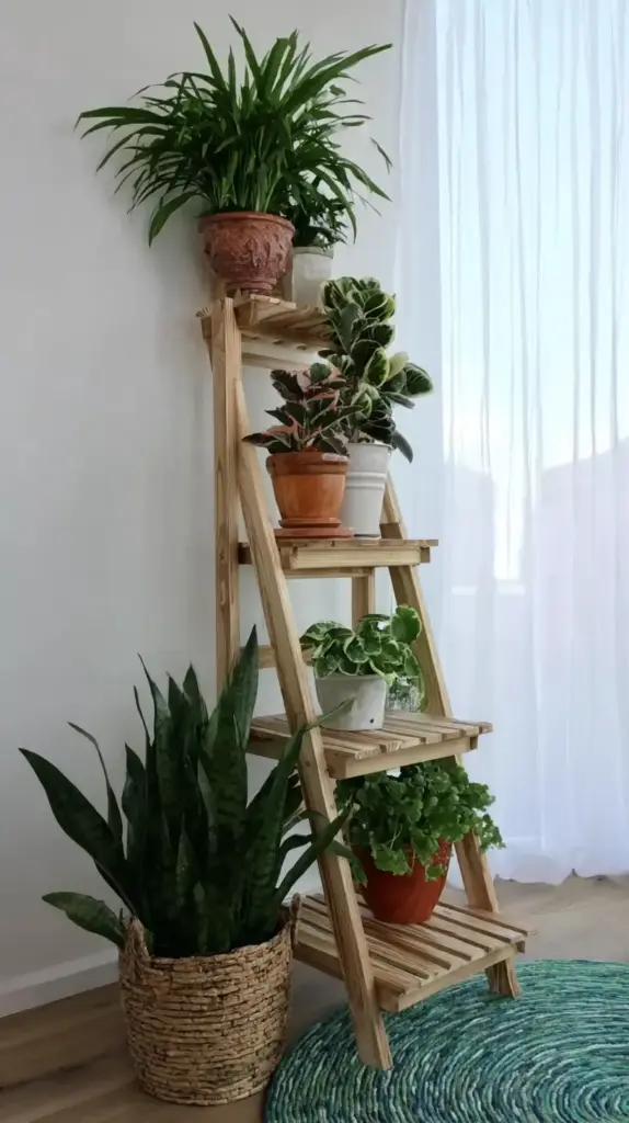 Living Room Oasis