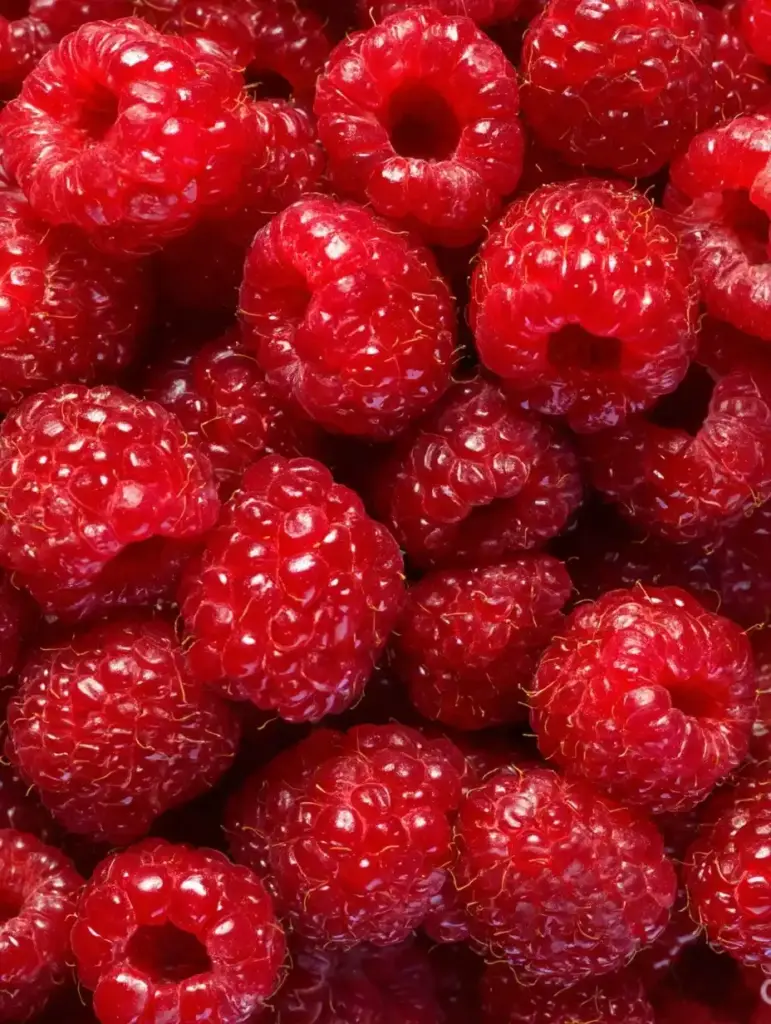 How to Grow Raspberries in a Small Space Store Raspberries