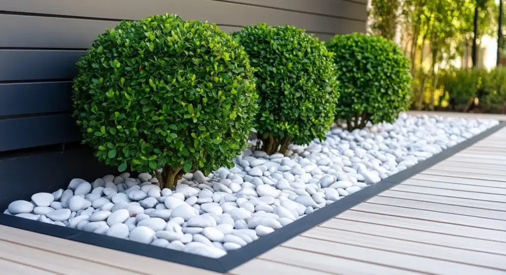 Hedges Stand Out with Large River Rocks