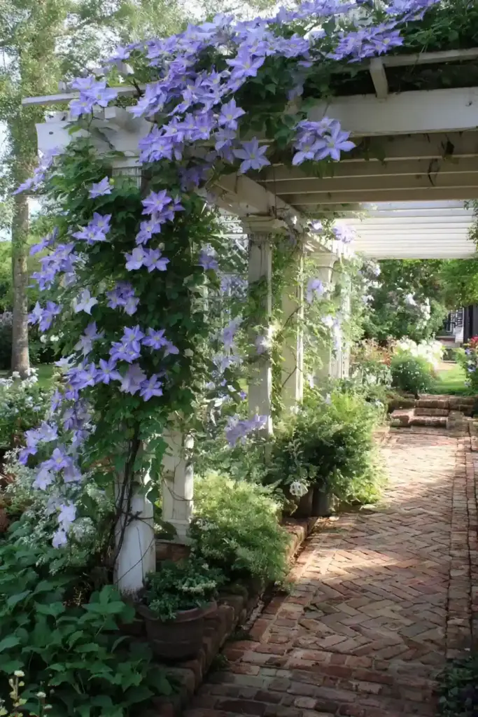 Pergola Trellis