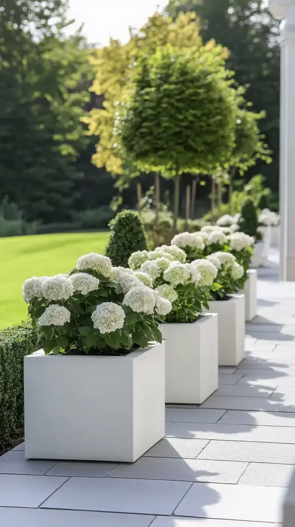 Modern Minimalist Hydrangea Design
