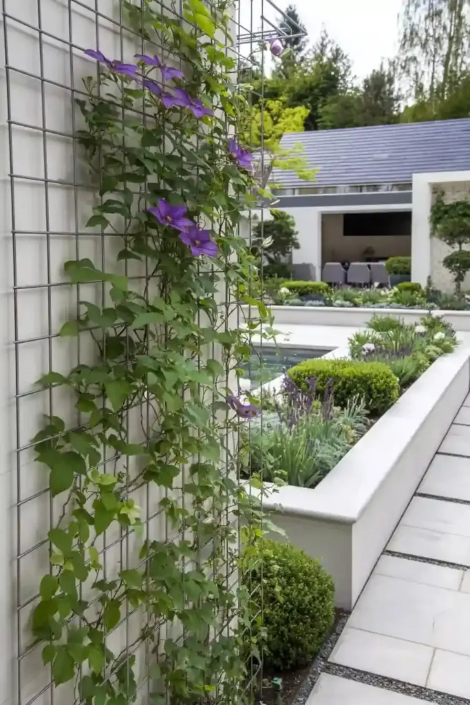 Wire Mesh Trellis