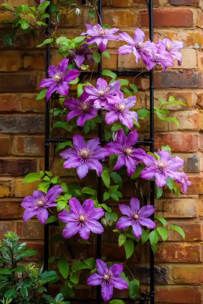  Wall-Mounted Trellis