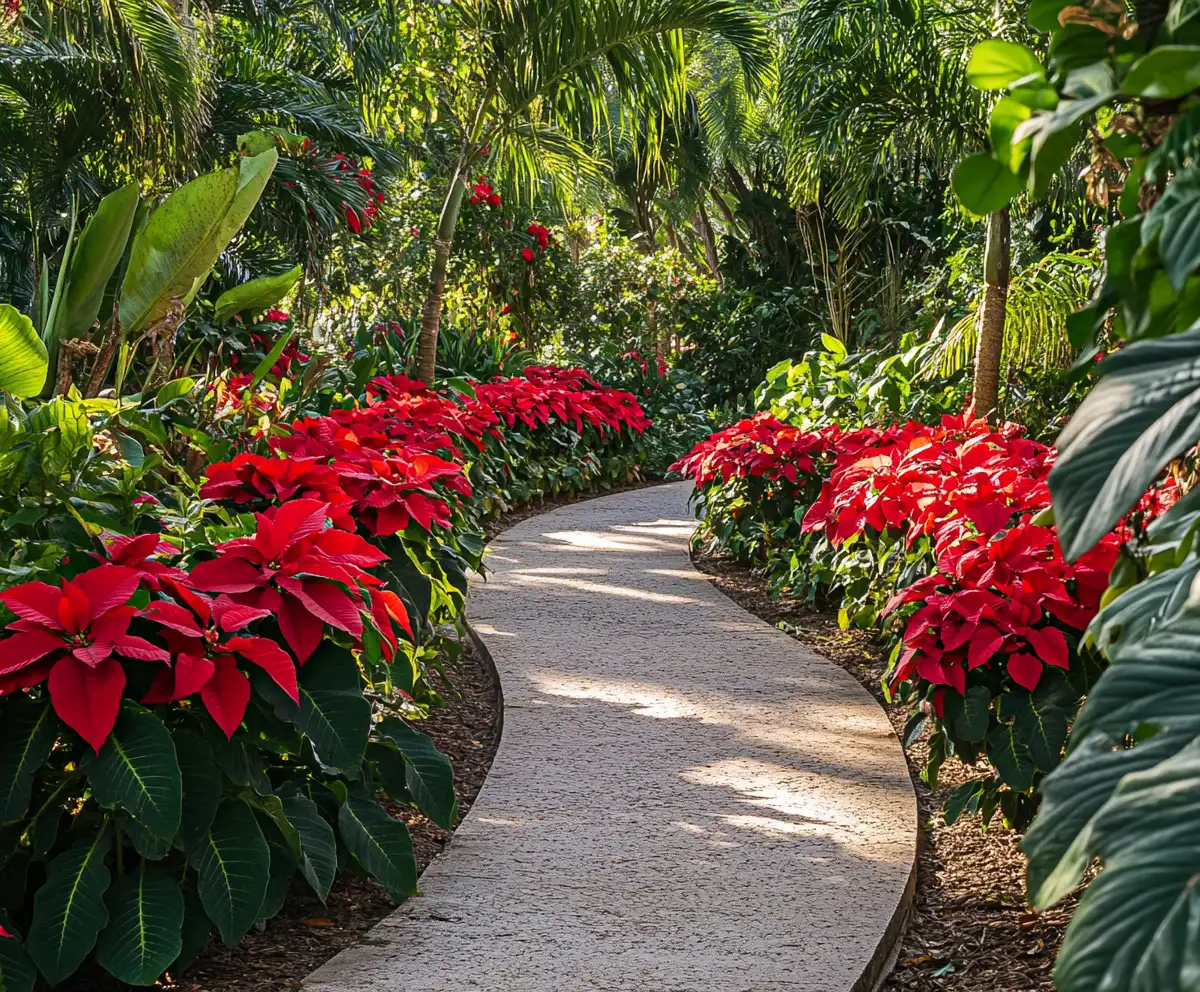 10 Stunning Shade Plants Ideas for Florida Gardens – Proven Favorites