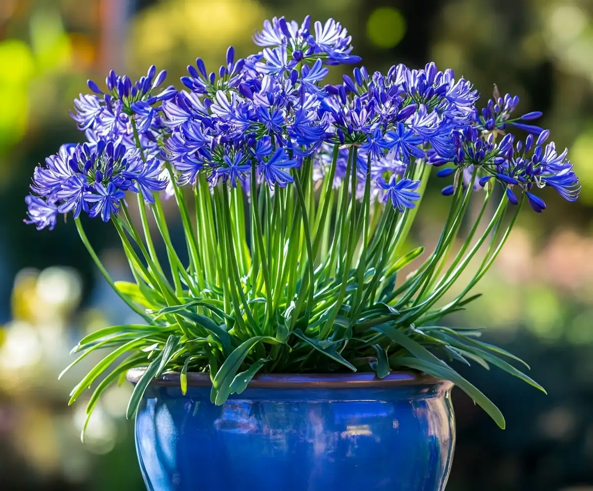15 Stunning Blue Flowers Just Arrived to Transform Your Garden Forever