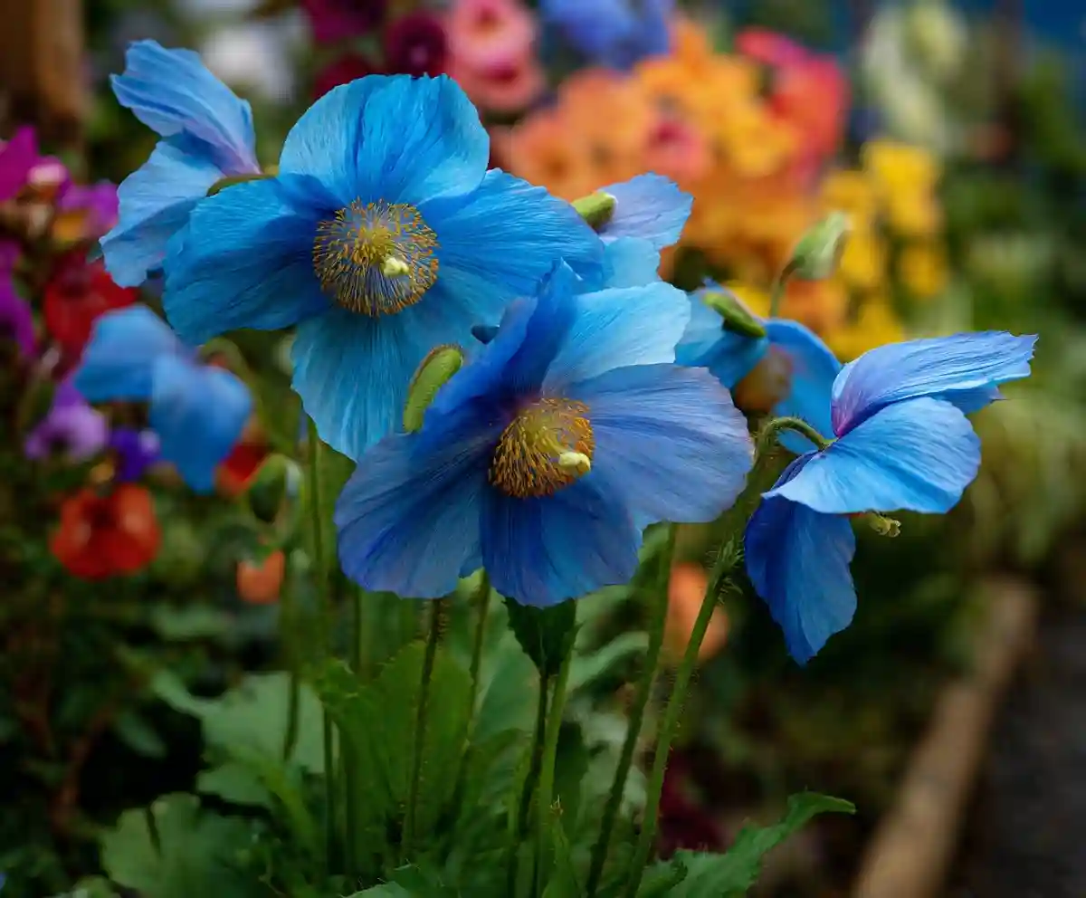 21 Blue Flowers Garden Ideas for a Calm, Beautiful Yard