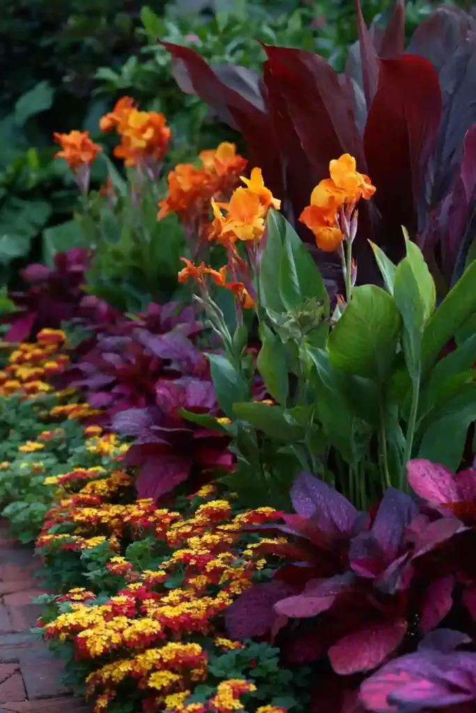 Companion Planting