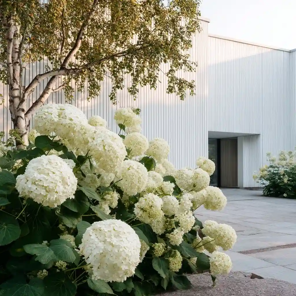 Serene White Hydrangea Garden Design