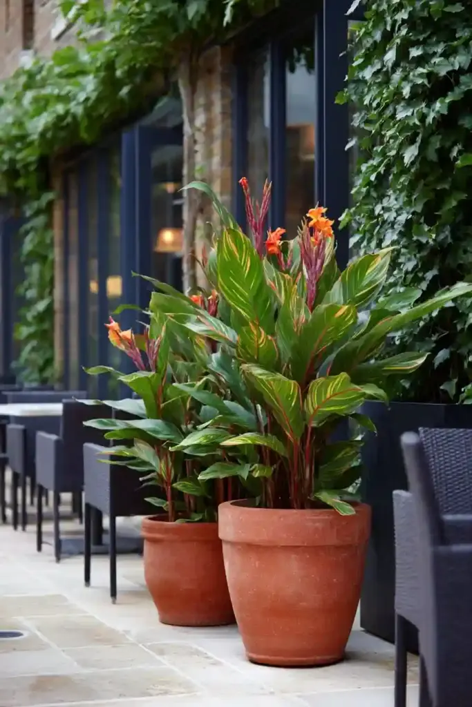 Container Gardening