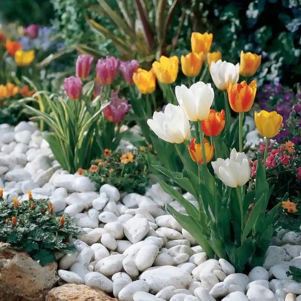  Spring Refresh with White Stones