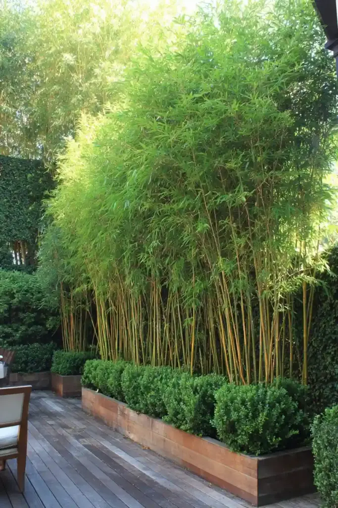 Incorporate Natural Privacy