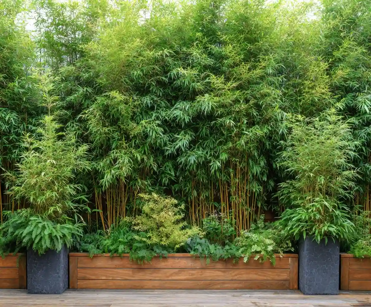 19+ Budget-Friendly Backyard Makeover Ideas
