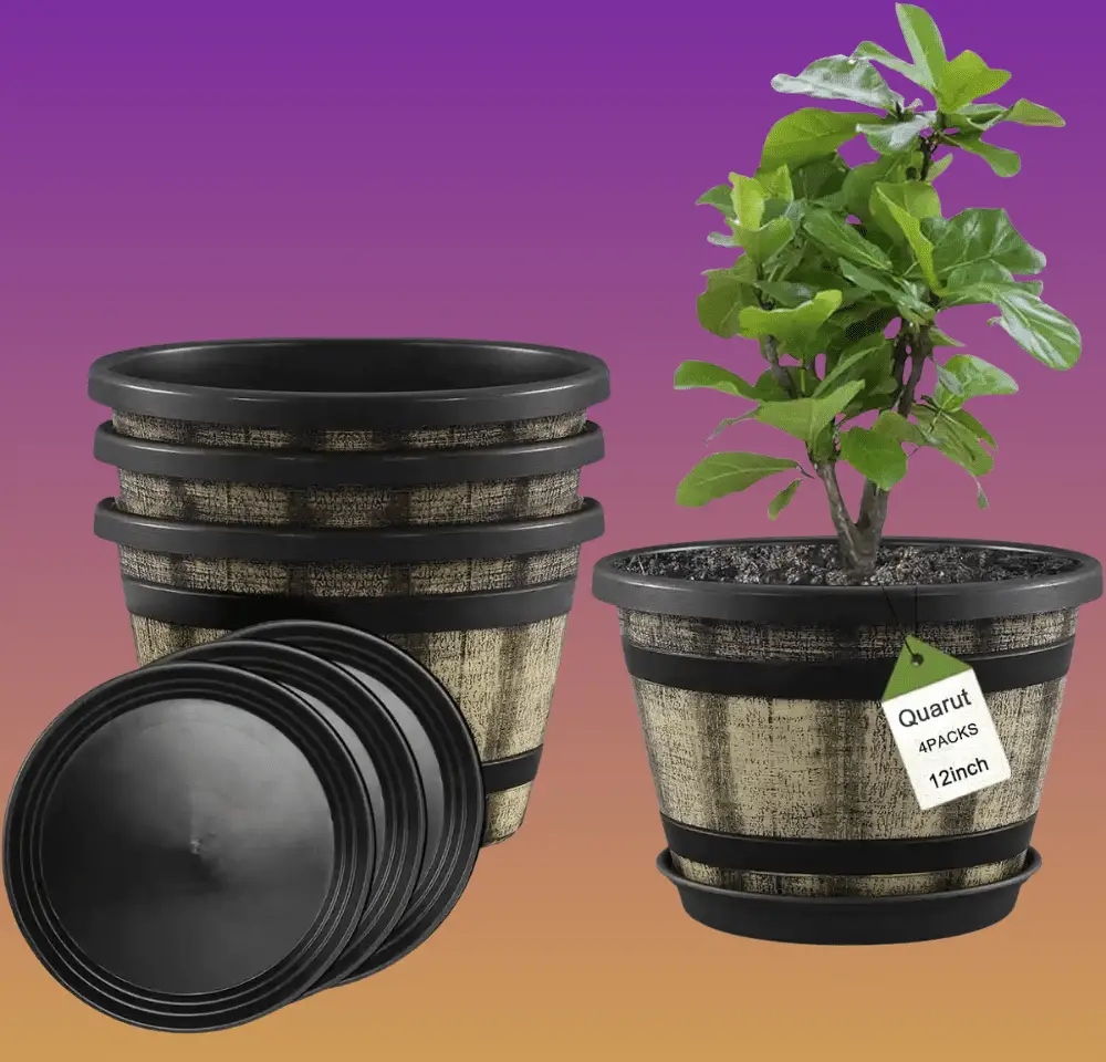 Best Planters for Indoors & Outdoors: Top 5 Reviewed