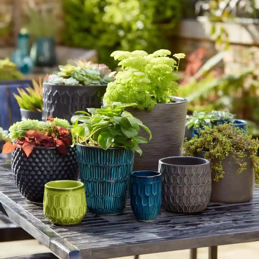 Choosing a Color Palette for Planters