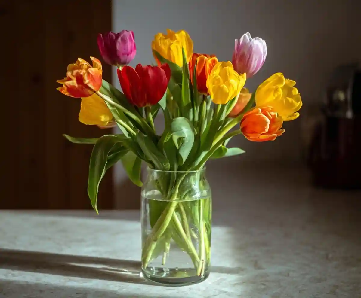 How to Make Your Cut Tulips Last Longer