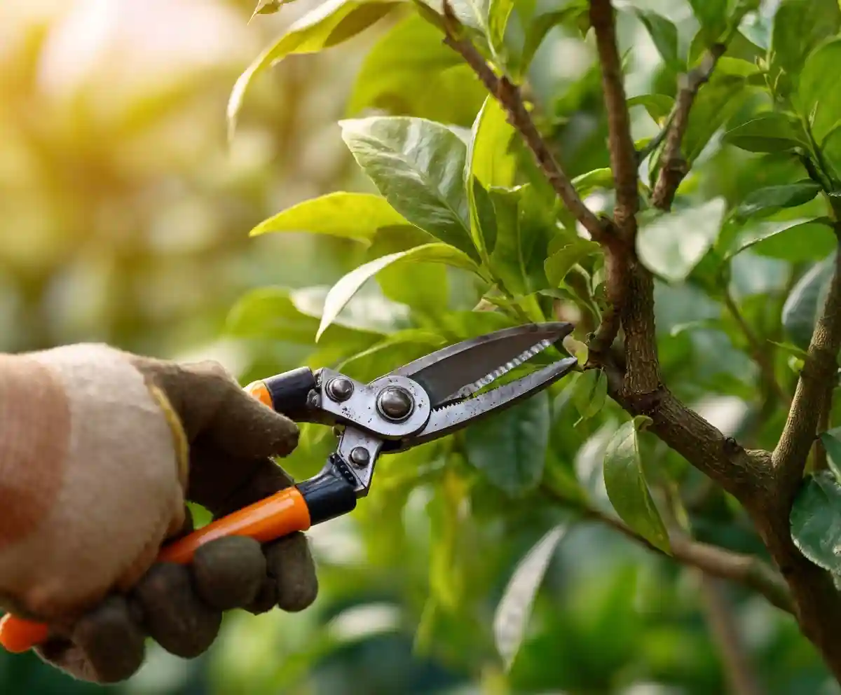 This $10 Gardening Tool Set Can Help You Avoid 3 Costly Mistakes This Fall