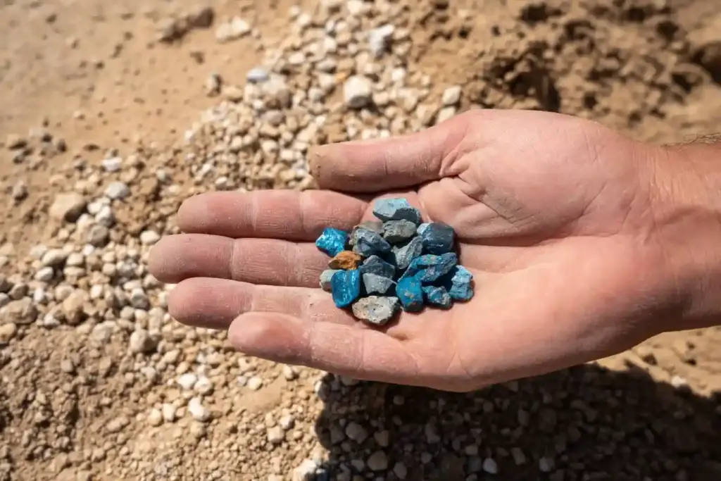 Winterize Potted Plants