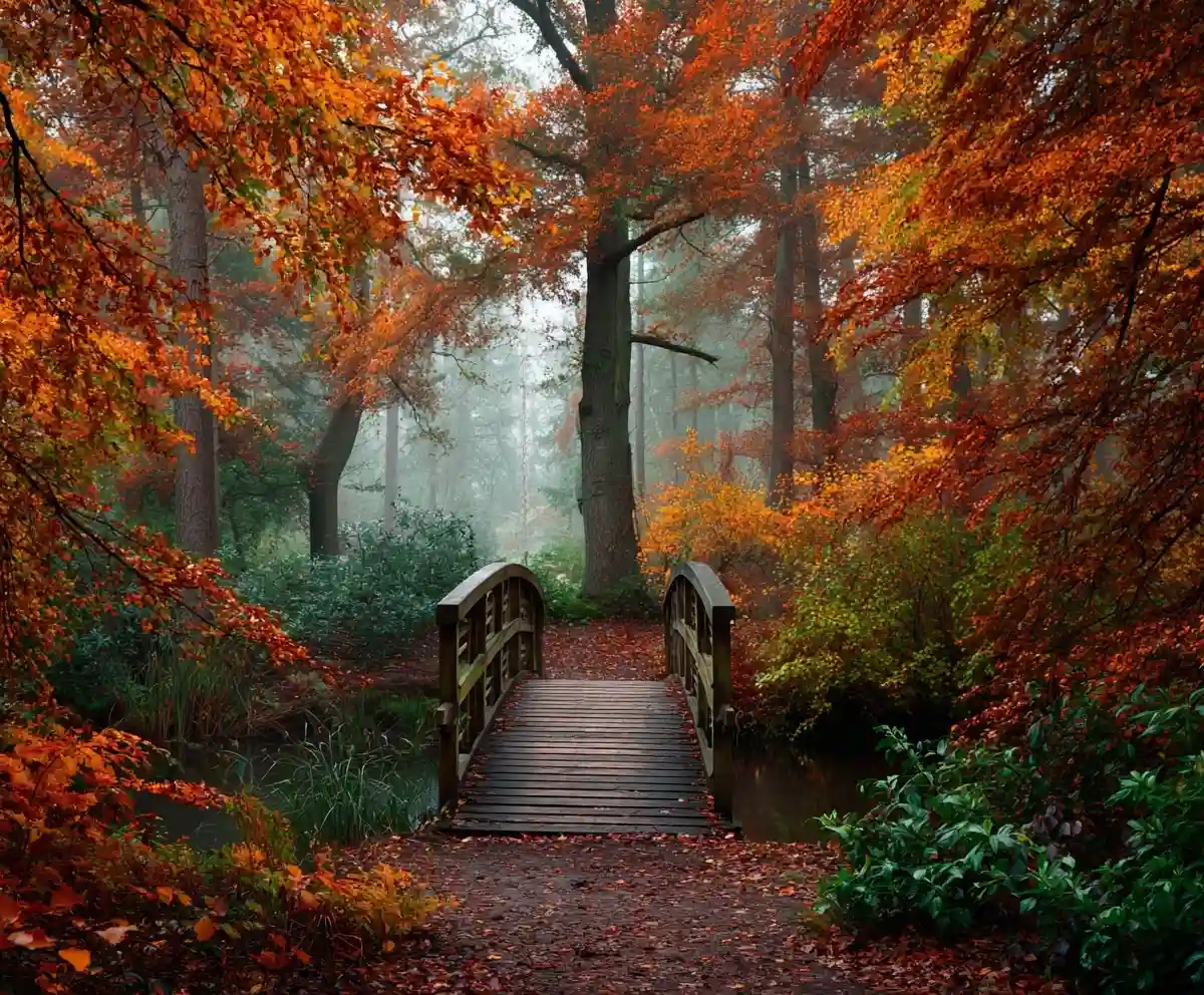 Aesthetic Fall Wallpapers iPhone You Will Want to Download