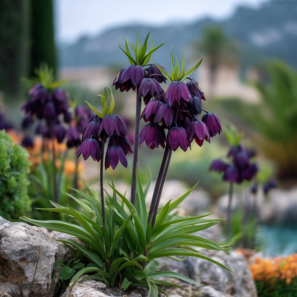 10 Gothic Flowers That Bring Mystery to Your Garden 10 10 Gothic Flowers That Bring Mystery to Your Garden
