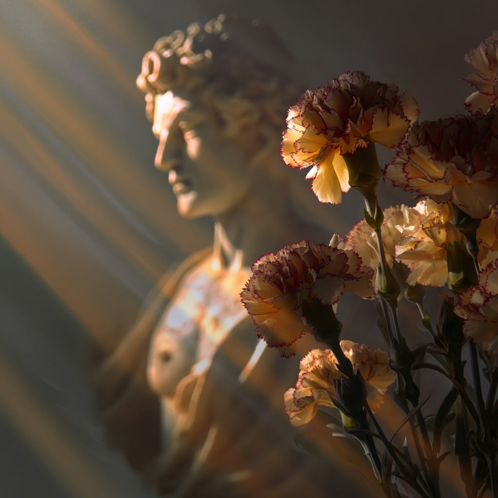 9 Fascinating Facts About Carnations 9 9 Fascinating Facts About Carnations