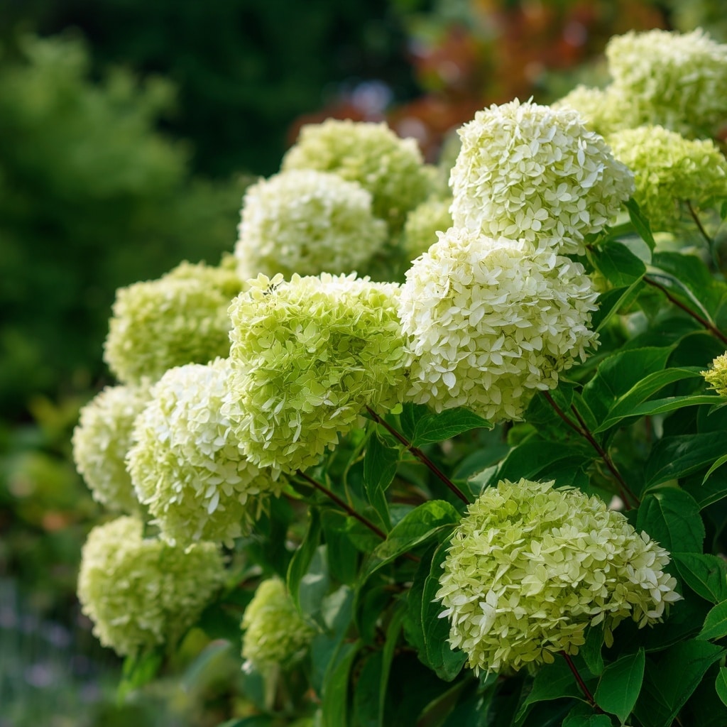 10 Popular Types of Green Flowers for Every Garden
