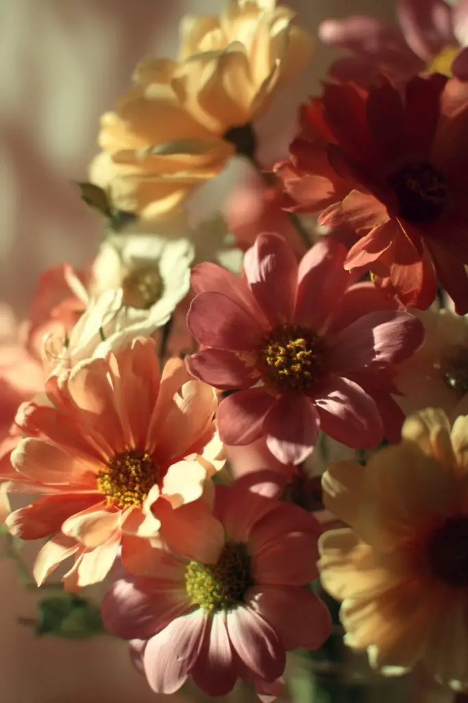 Real Flowers vs Artificial: Which Should You Choose? 2 Real Flowers vs Artificial: Which Should You Choose?