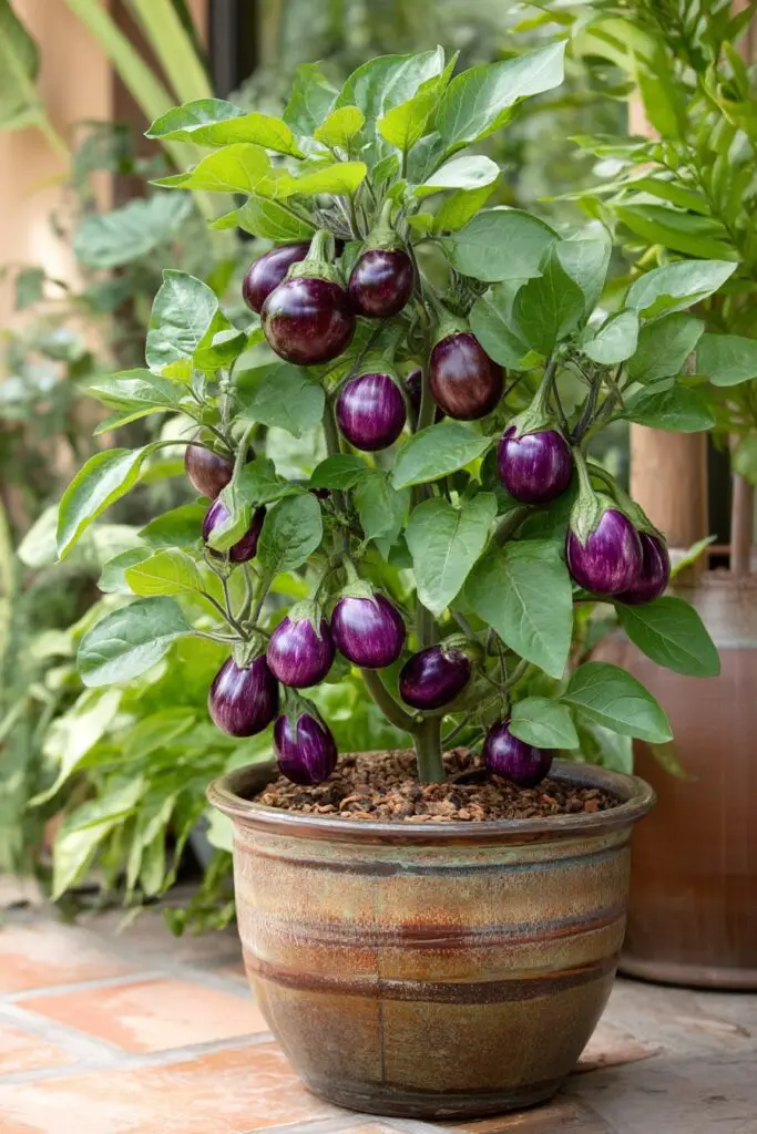 10 Best Vegetables for Container Gardening 11 10 Best Vegetables for Container Gardening