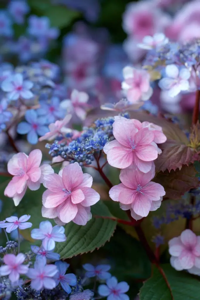 6 Types of Hydrangeas to Elevate Any Landscape 3 6 Types of Hydrangeas to Elevate Any Landscape