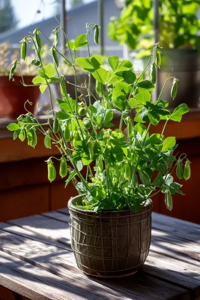 10 Best Vegetables for Container Gardening 3 10 Best Vegetables for Container Gardening