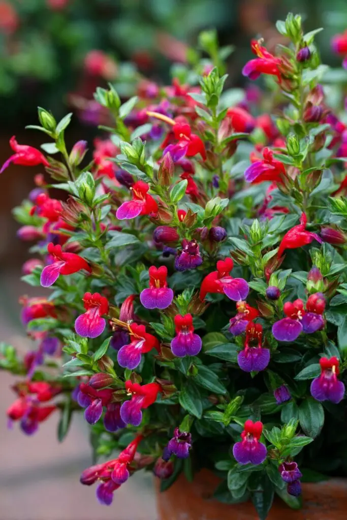 13 Unique Flowers That Make Your Garden Stand Out 4 13 Unique Flowers That Make Your Garden Stand Out