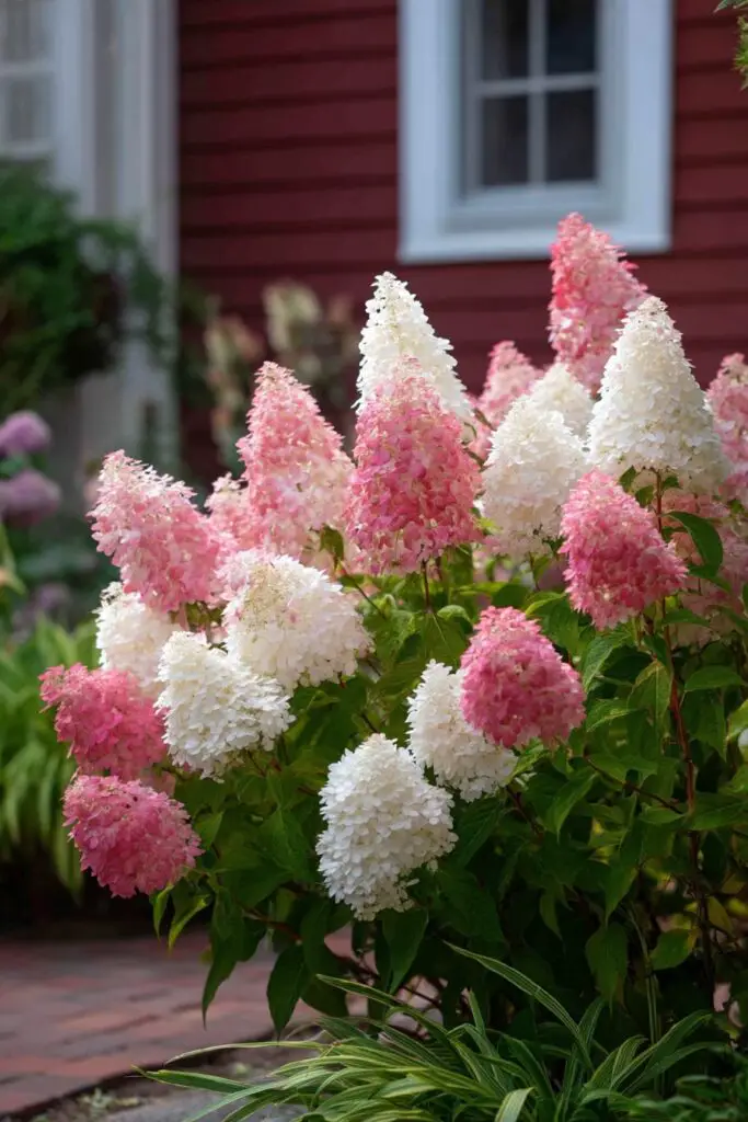 6 Types of Hydrangeas to Elevate Any Landscape 4 6 Types of Hydrangeas to Elevate Any Landscape